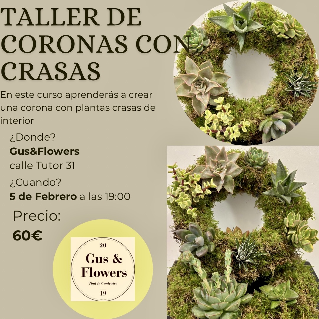 Taller Coronas de Musgo y Plantas Crasas